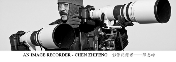 图片要害词