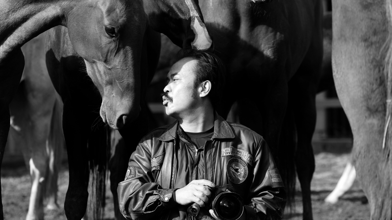 图片要害词