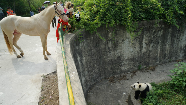 图片要害词