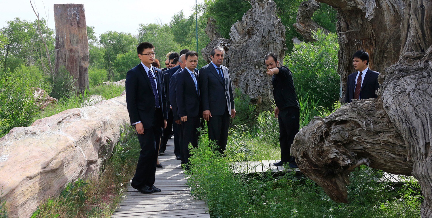 图片要害词