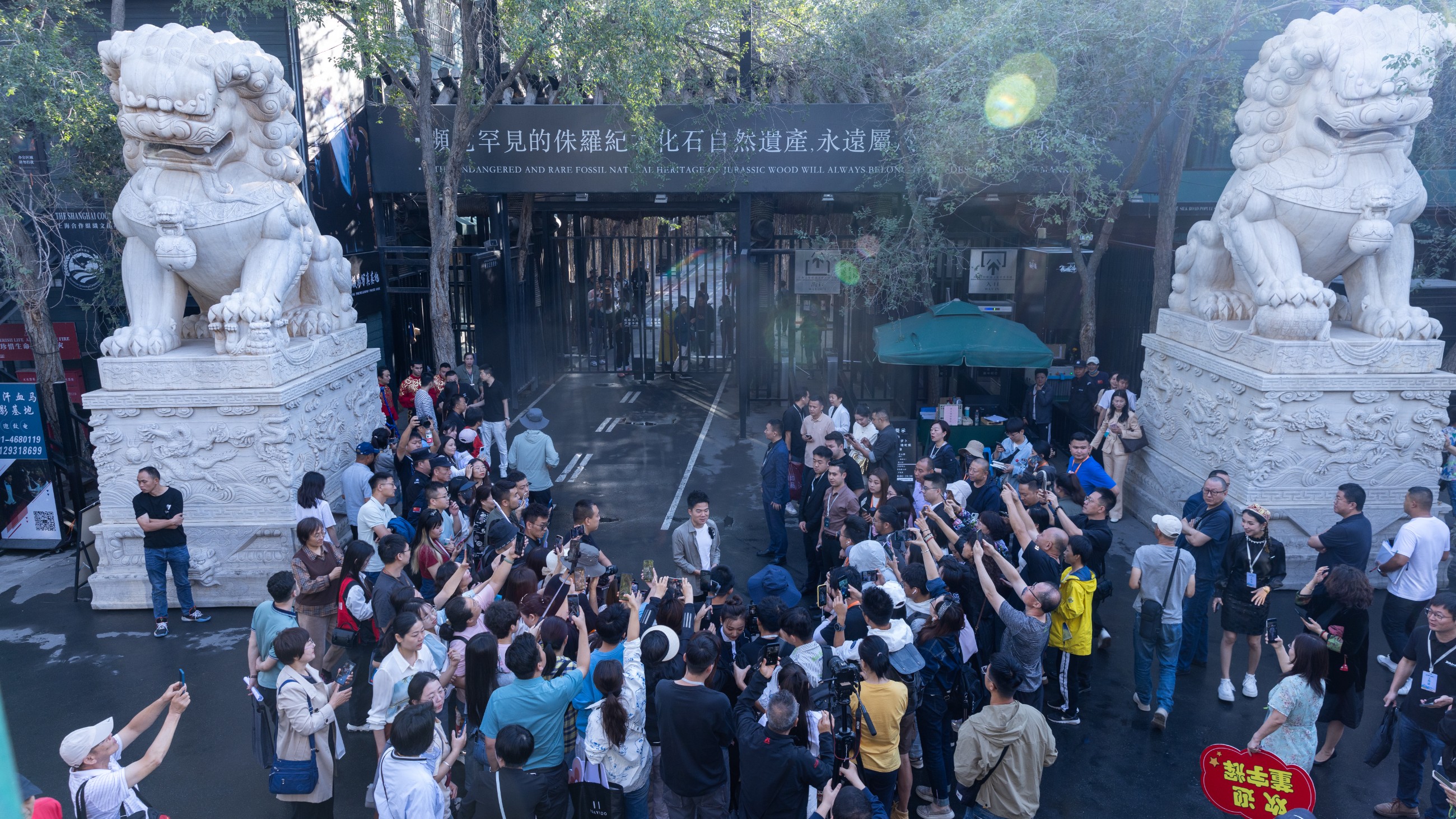 图片要害词