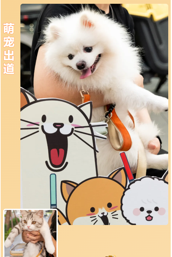 宠物定造1.png