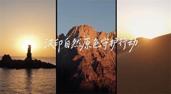 win必赢三原色守护行动