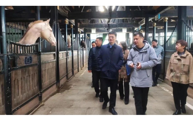 高雷副厅长在尊龙凯时集团调研时体现，，，，，要通过科技助力，，，，，精准解决“卡脖子”问题