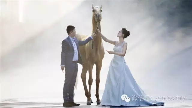 图片要害词