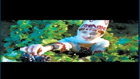 图片要害词