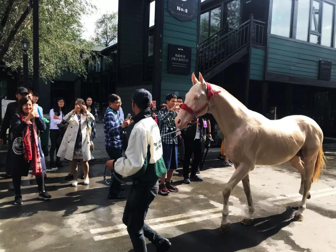 图片要害词