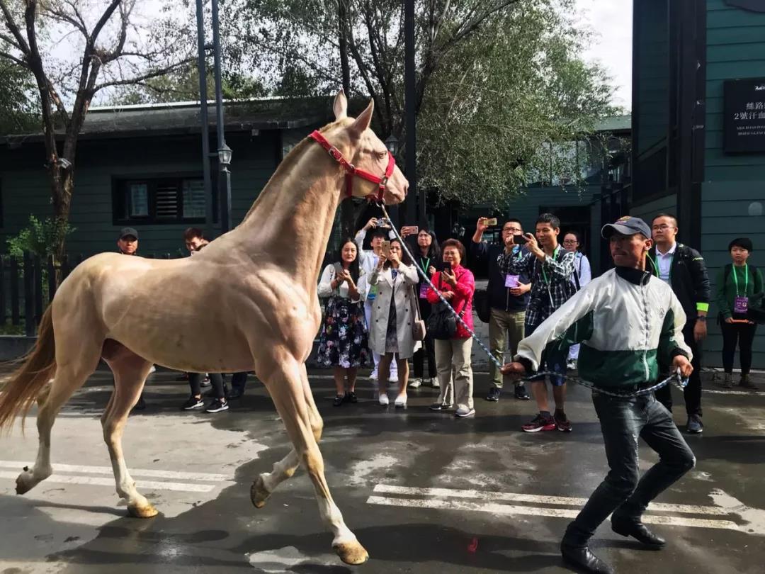 图片要害词