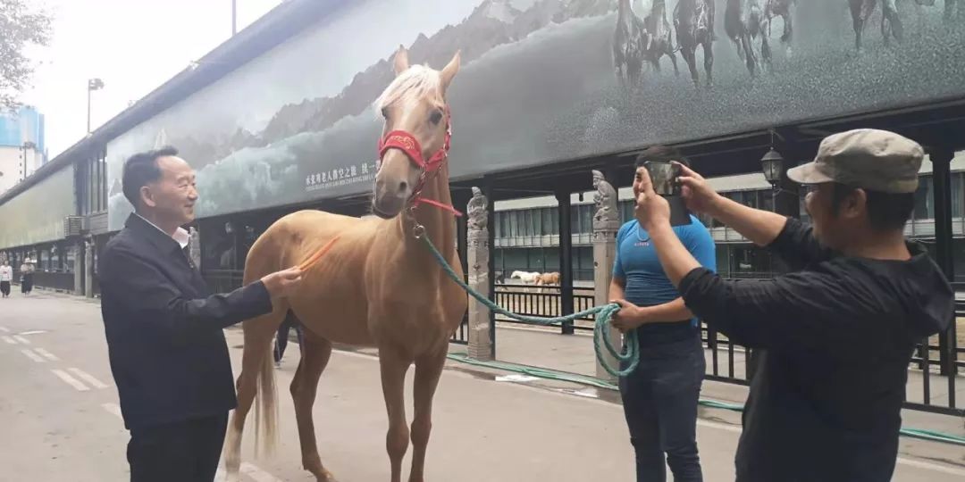 图片要害词