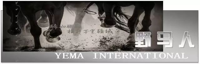 图片要害词
